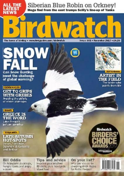 Birdwatch UK — November 2017
