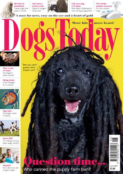Dogs Today UK – June 2017