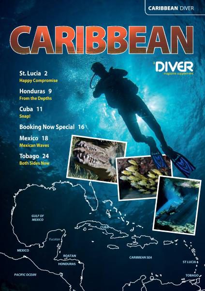 Diver UK — Caribbean (2017)