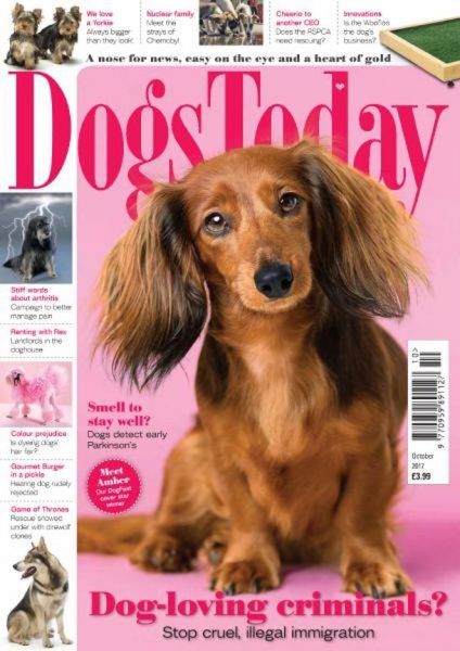 Dogs Today UK — October 2017