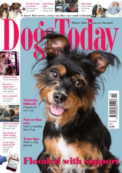 Dogs Today UK — November 2017