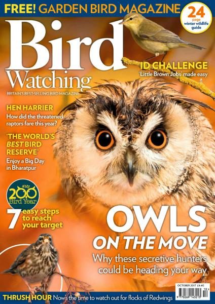 Bird Watching UK — October 2017