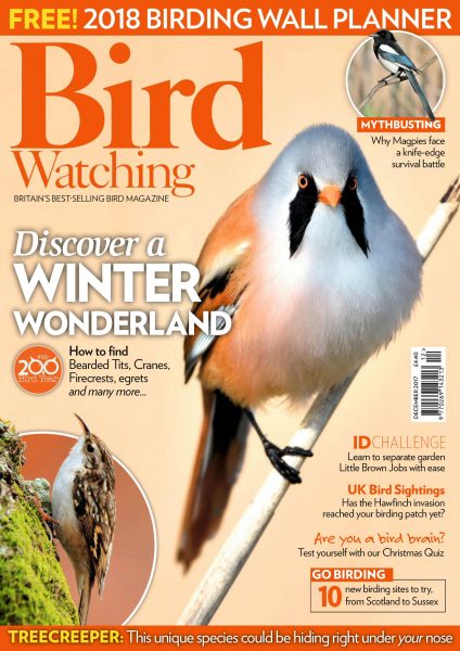 Bird Watching UK — December 2017