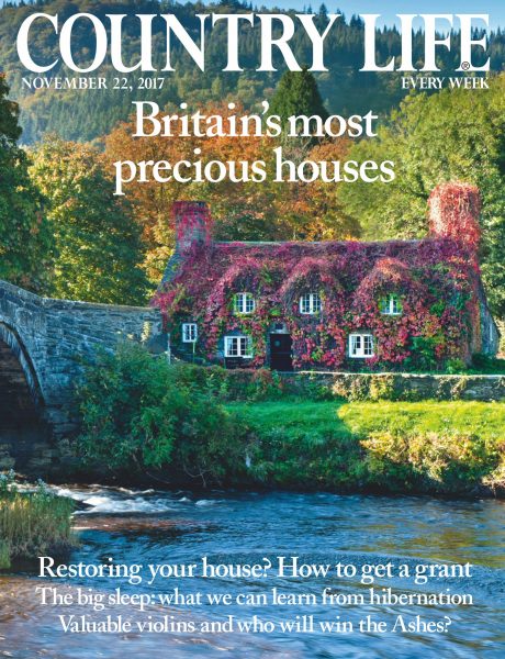 Country Life UK — November 22, 2017