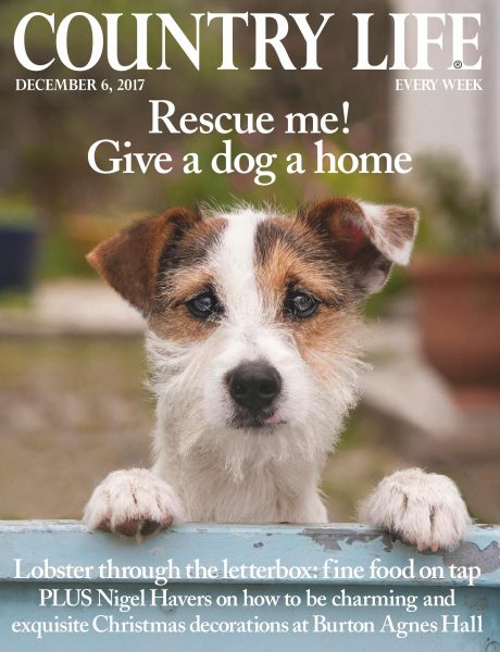 Country Life UK — December 06, 2017