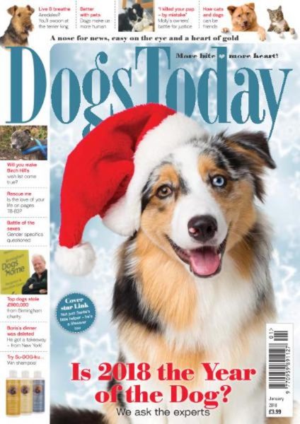 Dogs Today UK — January 2018