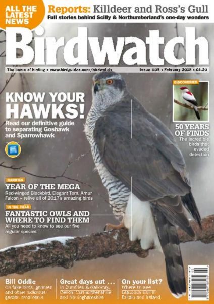 Birdwatch UK — February 2018