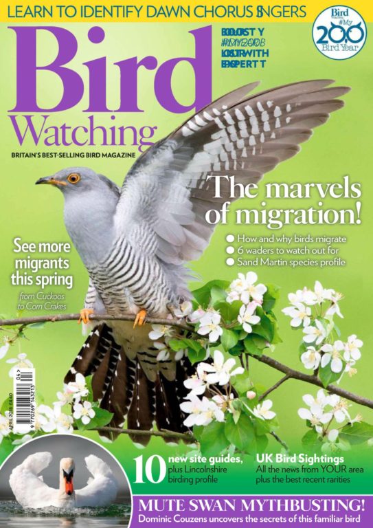 Bird Watching UK – April 2018
