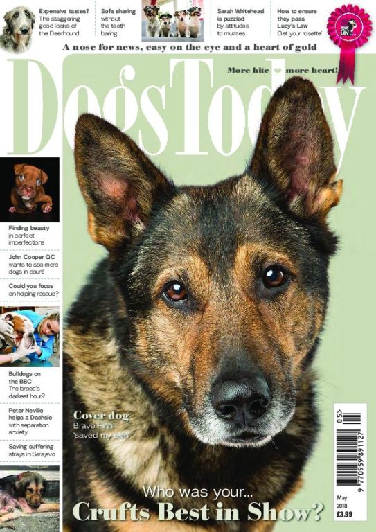 Dogs Today UK – May 2018