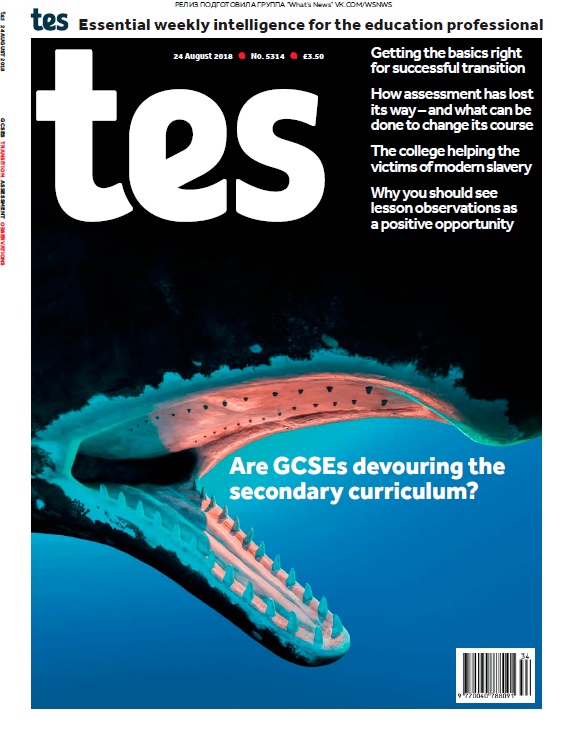 Times Educational Supplement – 24.08.2018