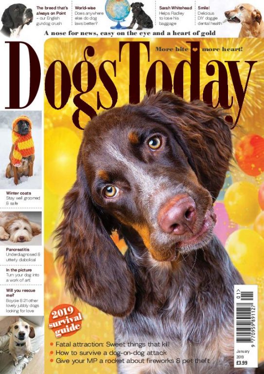 Dogs Today UK – January 2019