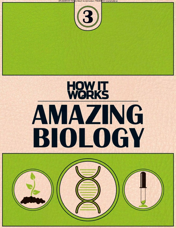 How It Works – Amazing Biology