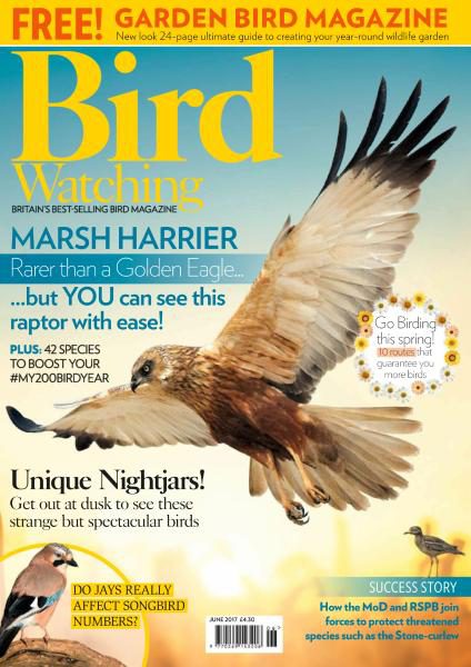 Bird Watching UK – June 2017