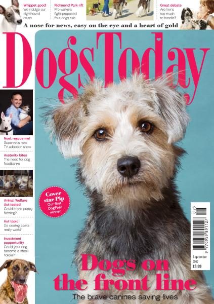 Dogs Today UK — September 2017