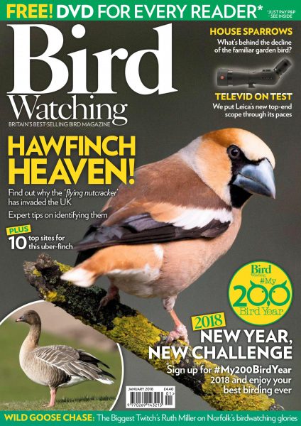 Bird Watching UK — January 2018