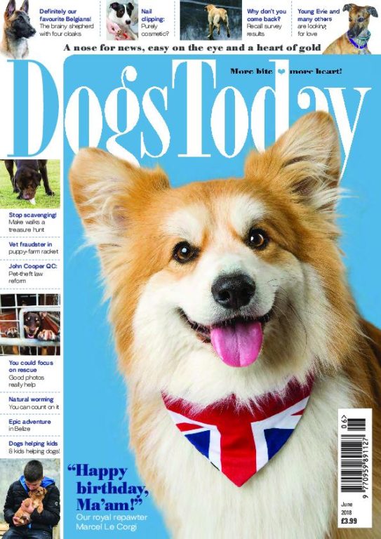 Dogs Today UK – June 2018
