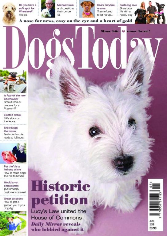 Dogs Today UK – July 2018