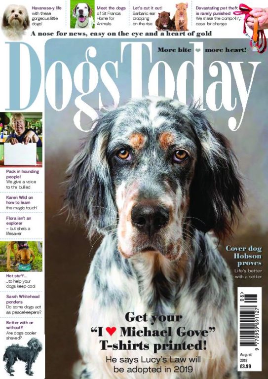 Dogs Today UK – August 2018