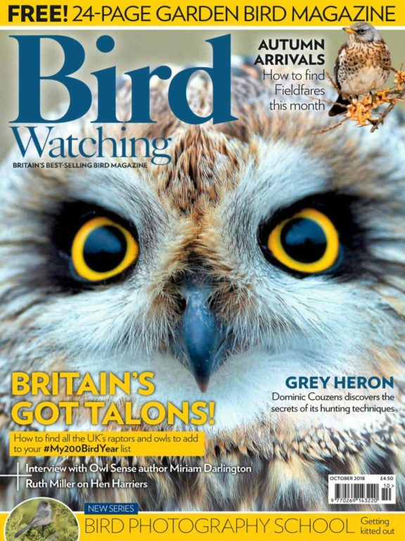 Bird Watching UK – October 2018