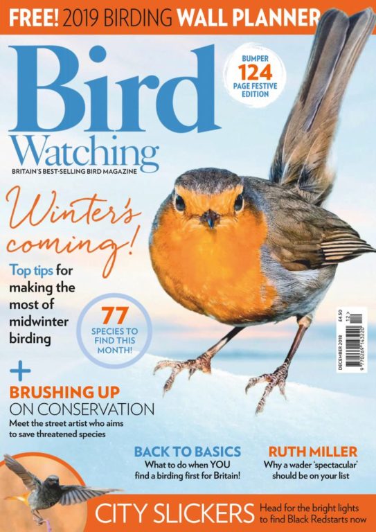 Bird Watching UK – December 2018