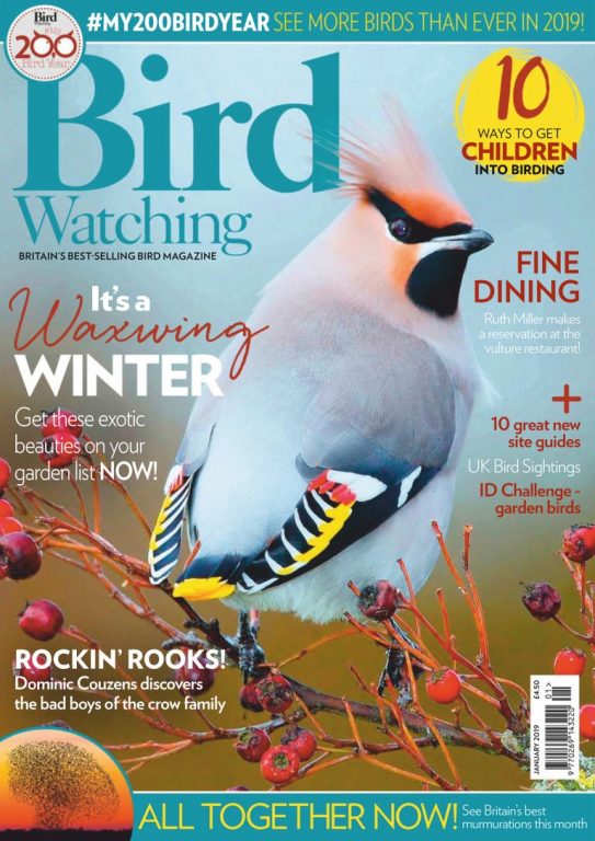 Bird Watching UK – January 2019
