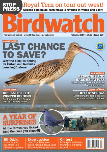 Birdwatch UK – February 2019