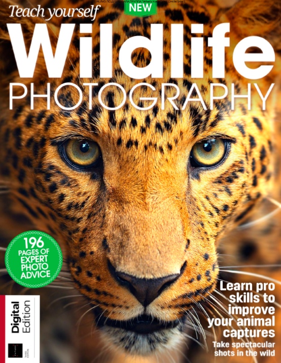 Teach Yourself – Wildlife Photography – 2018