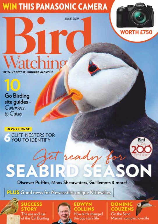 Bird Watching UK – June 2019