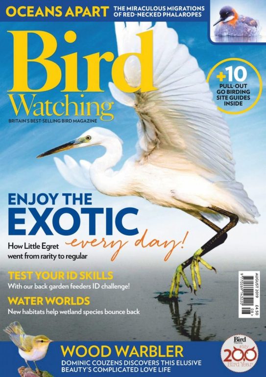 Bird Watching UK – August 2019