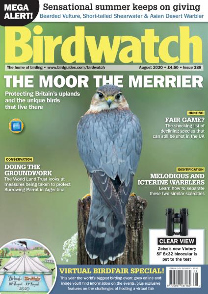 Birdwatch UK – August 2020